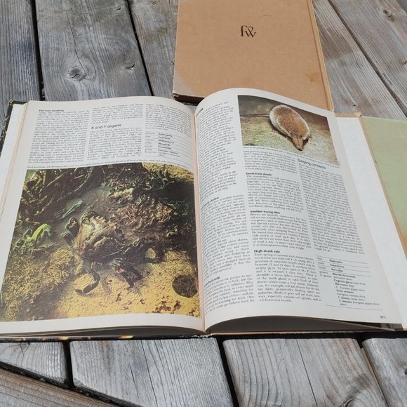 VINTAGE Funk & Wagnalls Wildlife Encyclopedias Lot of 3 Volumes 14, 17, … - Picture 7 of 9